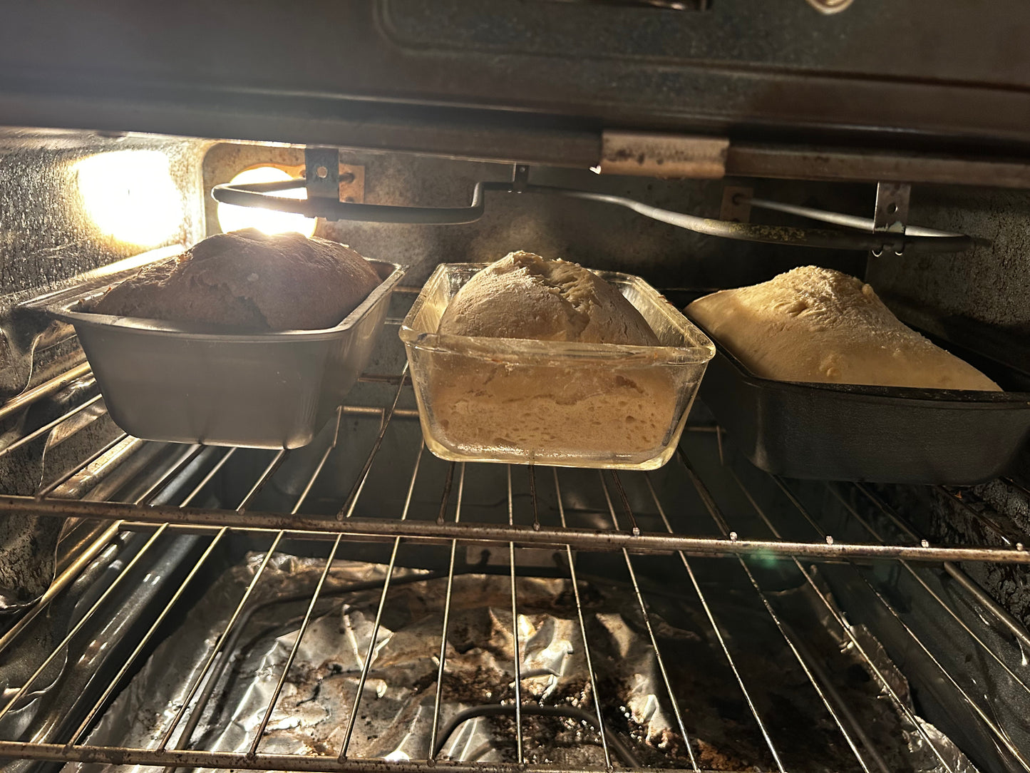 Wheat Bread